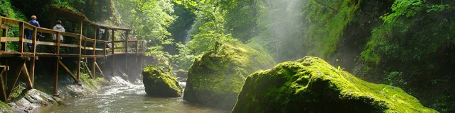 Gorgesjordannecp Tbonnet 1600x900 1