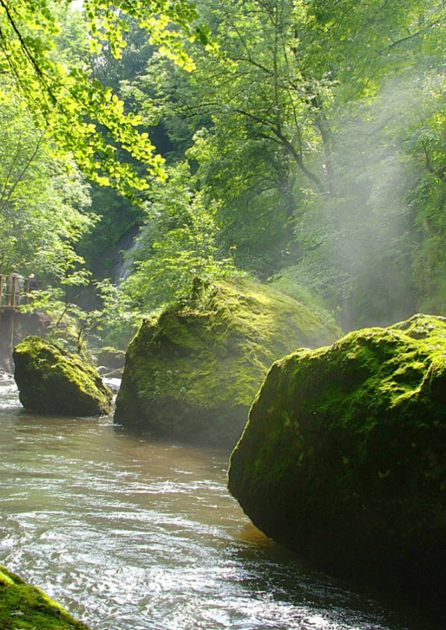 Gorgesjordannecp Tbonnet 1600x900 1