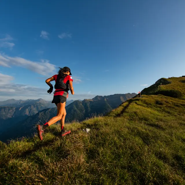 Trail
