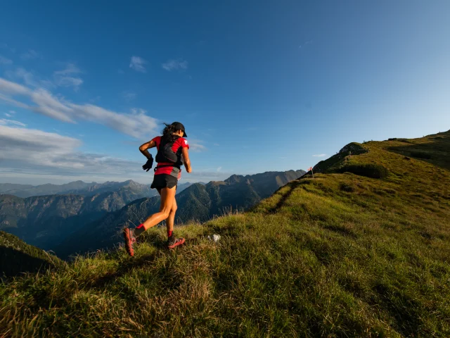 Trail