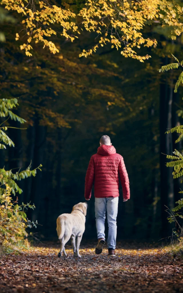 Venir-avec-son-chien.png
