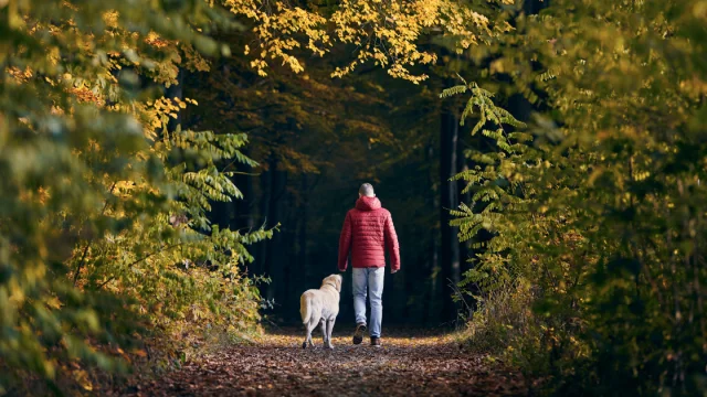Venir-avec-son-chien.png