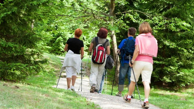 Wanderwege Zu Fuß