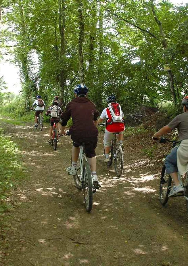 Vtt