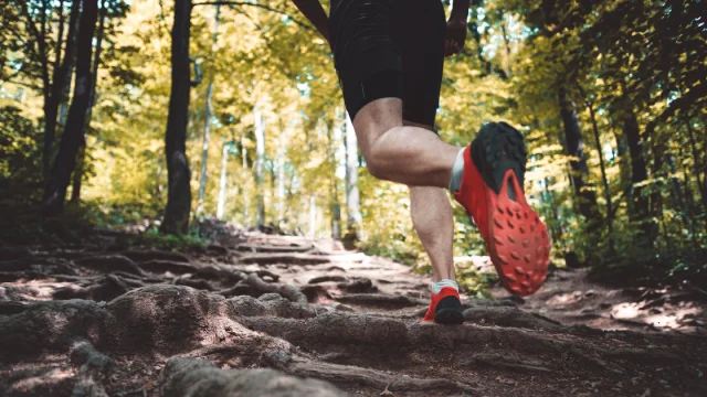 Course à pied dans la nature