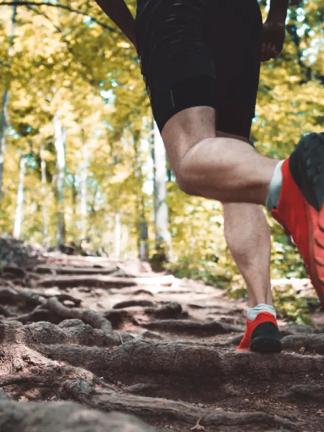 Course à pied dans la nature