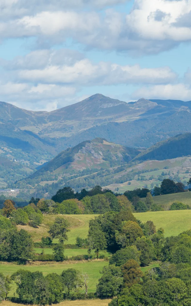 MAZET_J_OT-Aurillac_journee-APPN-114.jpg
