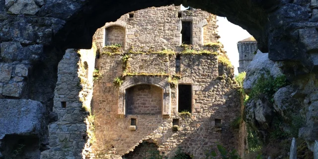 Les Tours De Merle