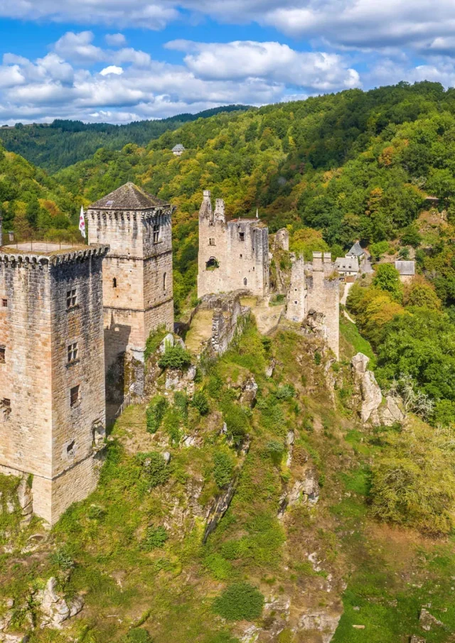 Les Tours De Merle