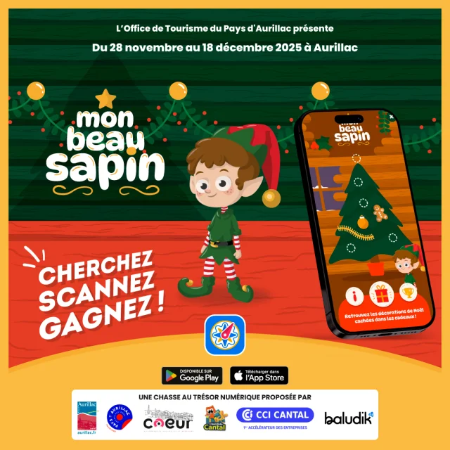 Baludik Visuel Reseaux