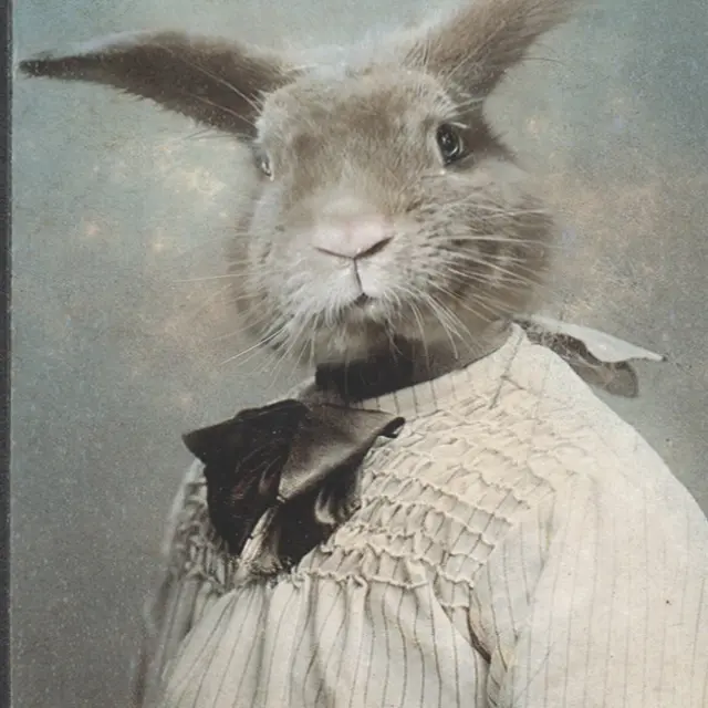 Au Comptoir Dauguste 2025