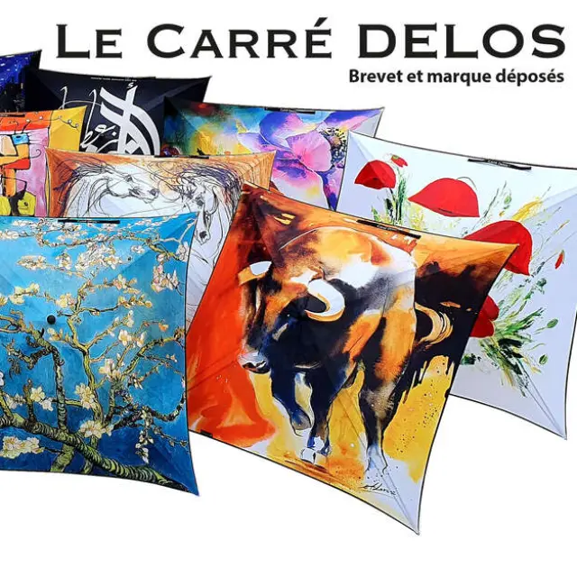 Le Carre Delos