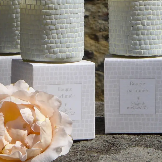 Le Jardin De Mon Grand Pere Bougie Parfumee
