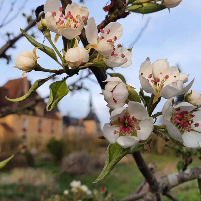 Instagram #instantautun