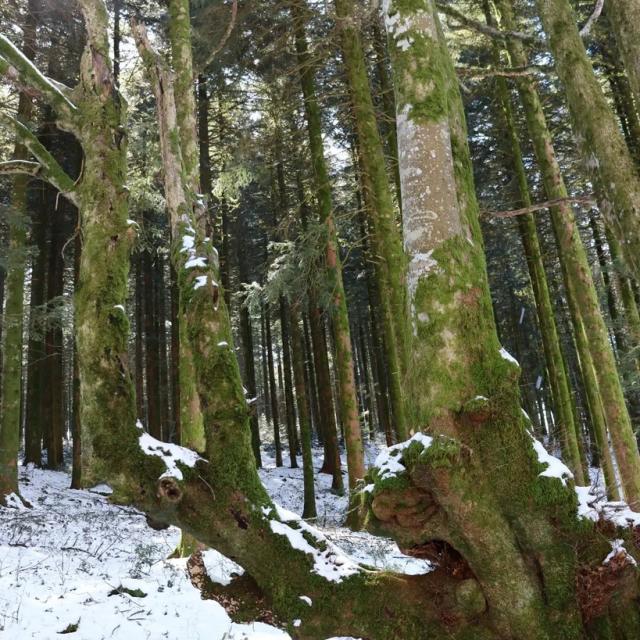 Instagram #autun