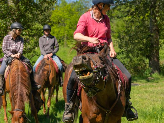 Somment Horse Team ©les Coflocs (22)