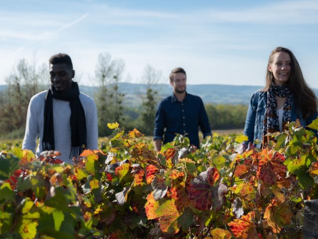 Côtes du Couchois © Celine Bacconnet