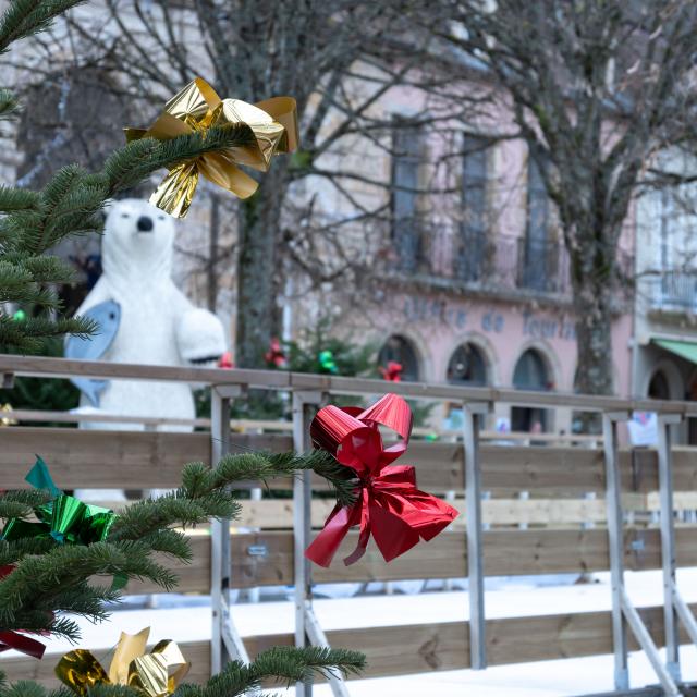 Kerstmis 2022 @celine bacconnet_6740