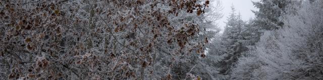Paysages Hiver @celine Bacconnet 6891