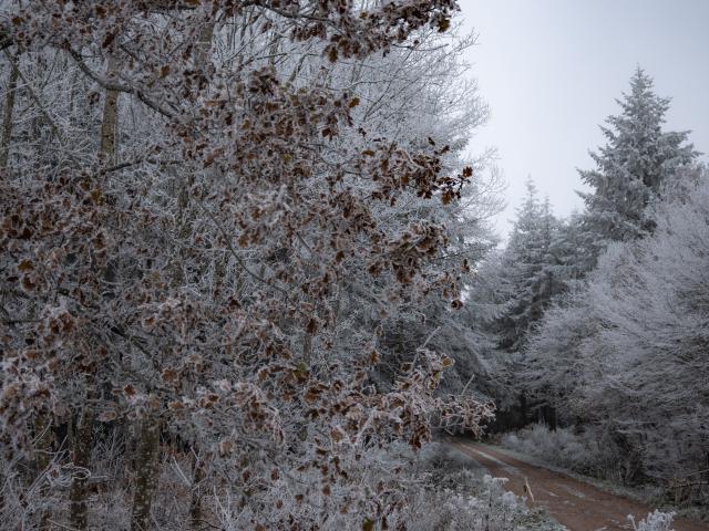 Paysages Hiver @celine Bacconnet 6891