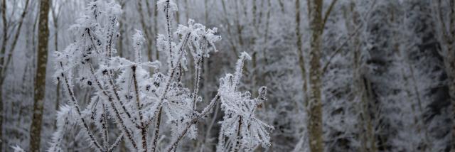 Paysages Hiver @celine Bacconnet 6894