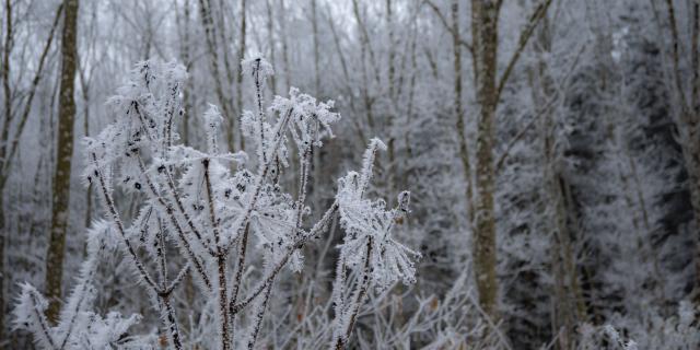 Paysages Hiver @celine Bacconnet 6894