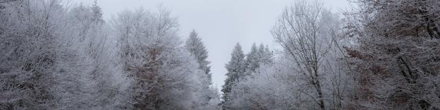 Paysages Hiver @celine Bacconnet 6920