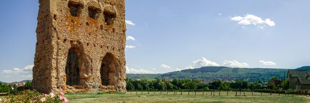 Temple de Janus - Autun