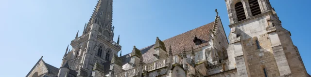 kathedraal saint-lazare