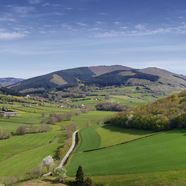 Mont Beuvray Bibracte Antoine Maillier 7