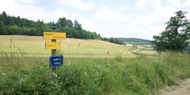Wivisites Lucenay L'évêque Tourisme