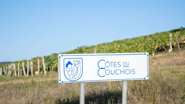 Vignes de Dracy-Les-Côtes du Couchois - local