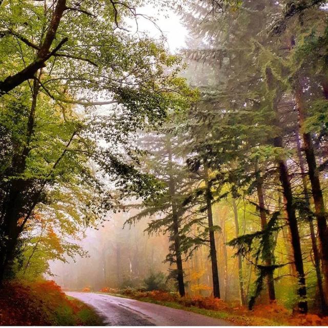 Instagram #morvan