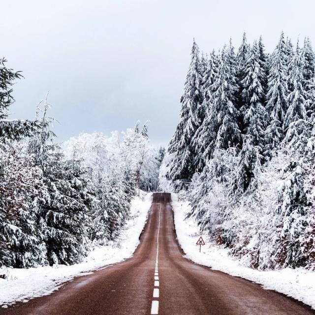 Instagram #morvan