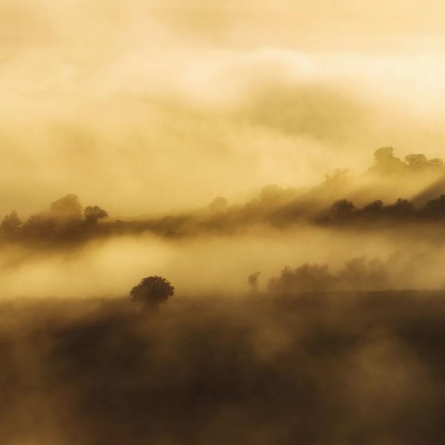 Instagram #morvan