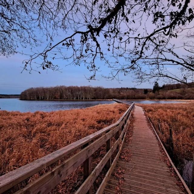 Instagram #morvan