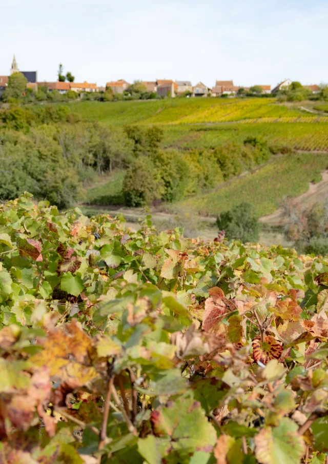 Côtes Du Couchois