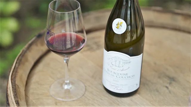 Tasting of Côtes du Couchois wines