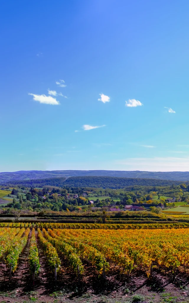 Vignoble Couchois - Grand Autunois Morvan