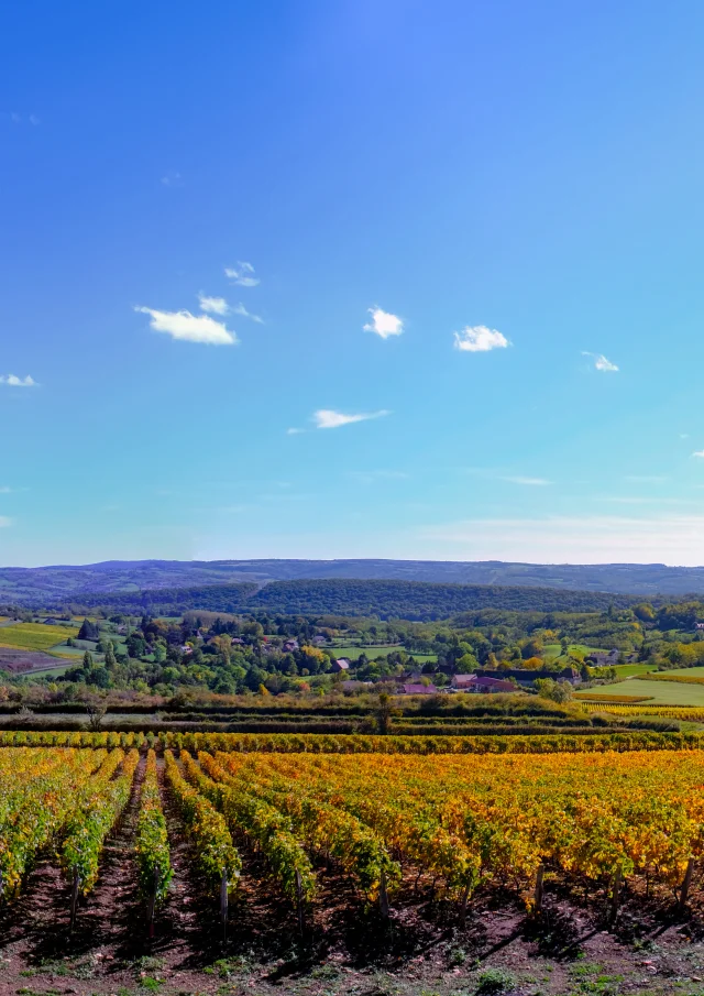 Vignoble Couchois - Grand Autunois Morvan