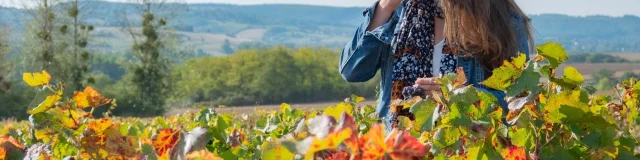 besichtigen und bewegen in südburgund