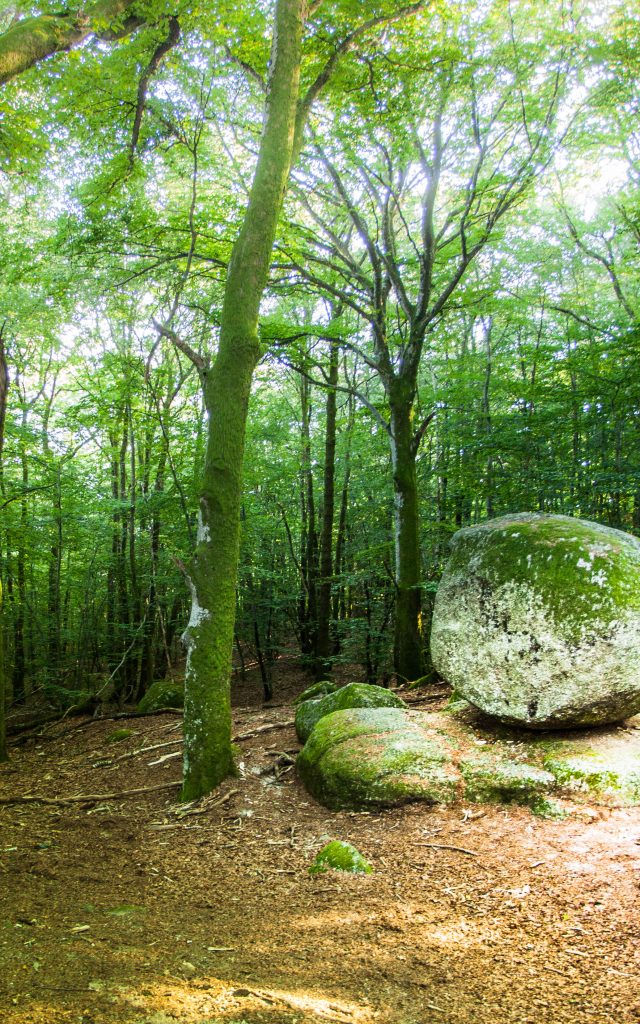 Pierre que Croule, Panorama, Autunois Morvan Tourisme
