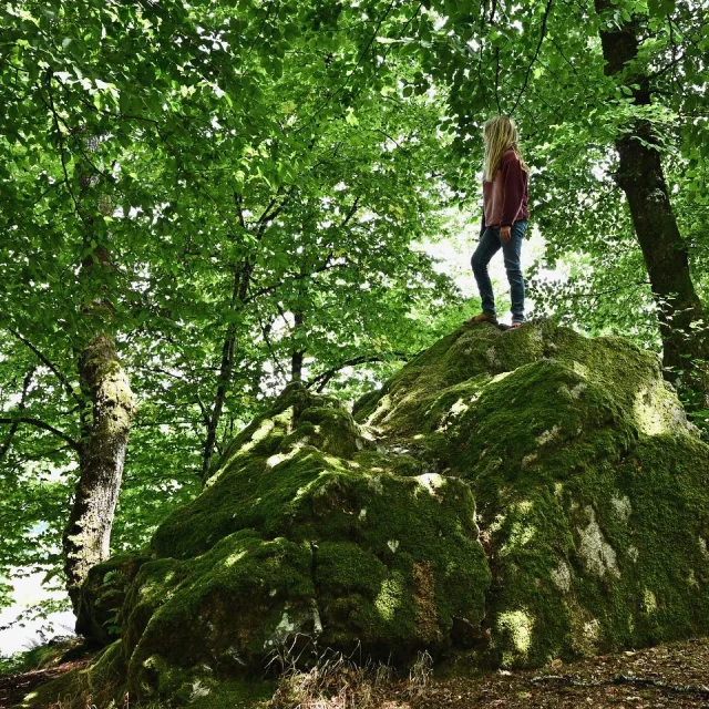 Instagram #morvan