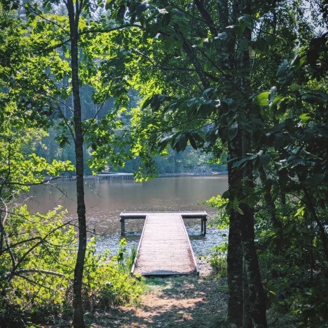 Instagram #morvan