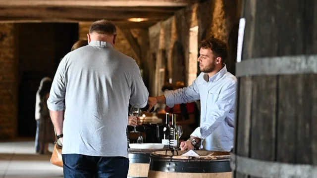 Vignobles en scène 2025 : dégustation, soirées et concert