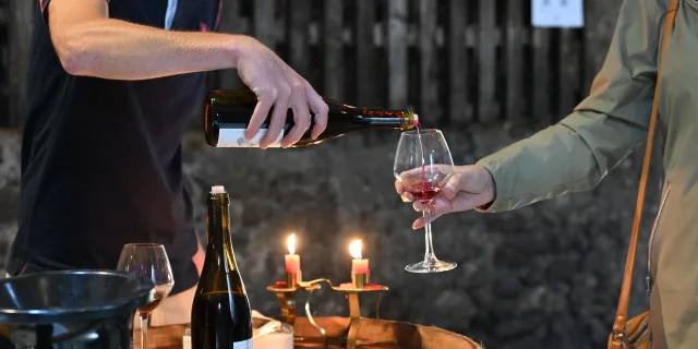 Appellation Bourgogne Côtes du Couchois - Vignobles en scène