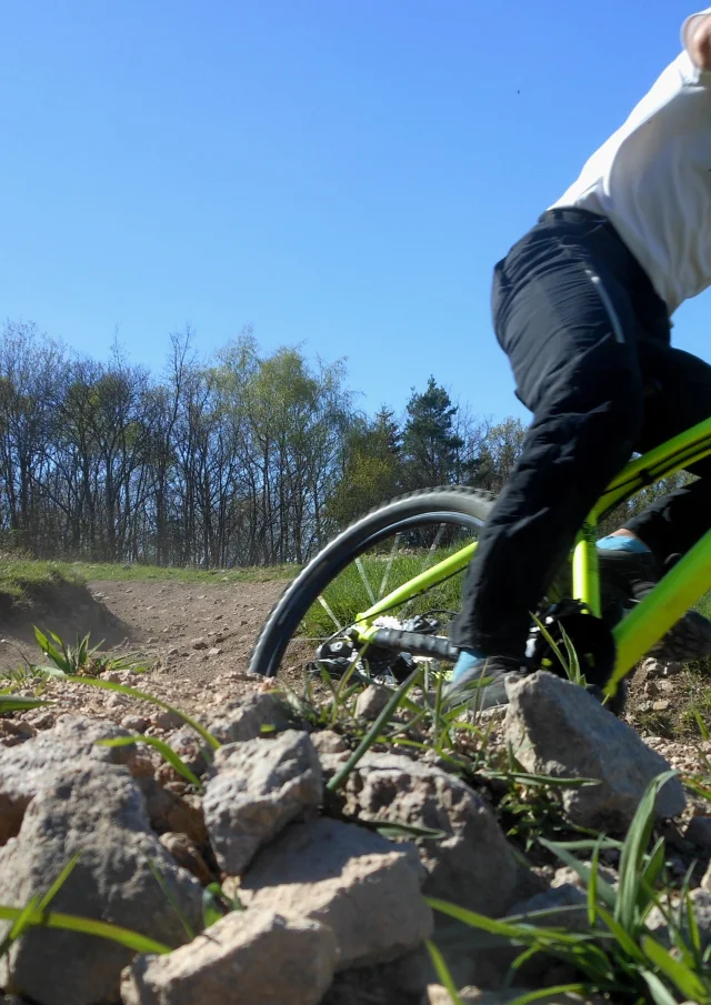 Mountainbiken in de bossen van de Morvan