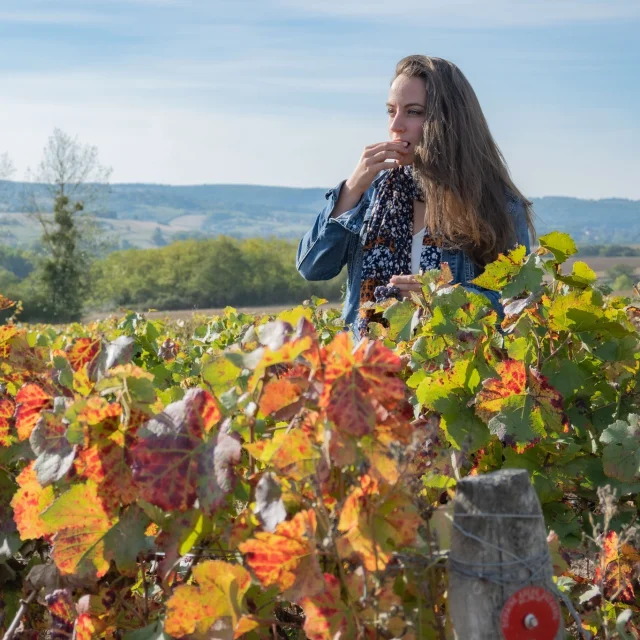 Instagram #autun