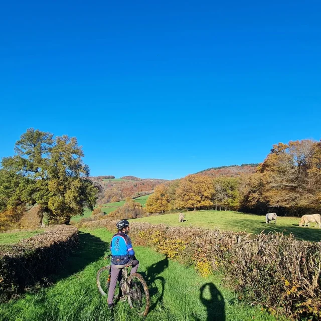 Instagram #instantautun