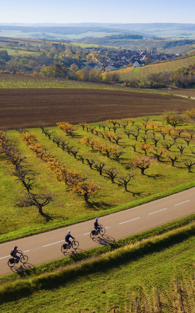 à Vélo à traver les vignobles de Bourgogne